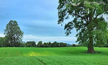 Parcela en Venta en Sector Trolinco, La Unión