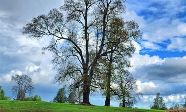 Parcela en Venta en Sector Trolinco, La Unión