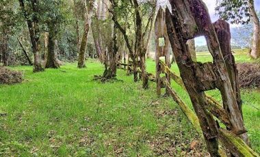 Parcela en Venta en Sector Trolinco, La Unión