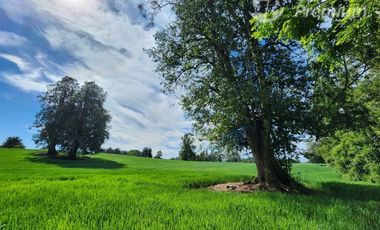 Parcela en Venta en Sector Trolinco, La Unión