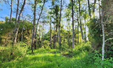 Parcela en Venta en Sector Trolinco, La Unión