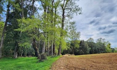 Parcela en Venta en Sector Trolinco, La Unión