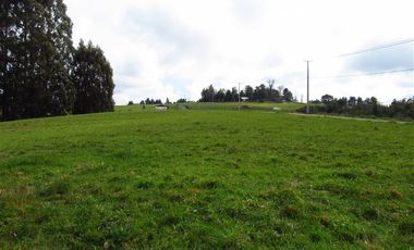 Parcela en Venta en A 20 Kilómetros de Osorno