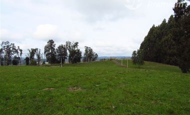 Parcela en Venta en A 20 Kilómetros de Osorno