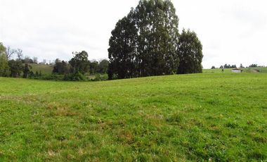 Parcela en Venta en A 20 Kilómetros de Osorno
