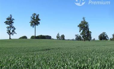 Parcela en Venta en Sector Cayurruca