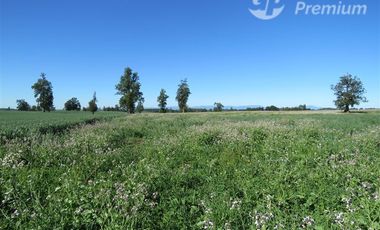 Parcela en Venta en Sector Cayurruca