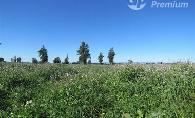 Parcela en Venta en Sector Cayurruca