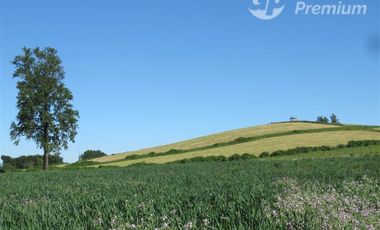 Parcela en Venta en Sector Cayurruca