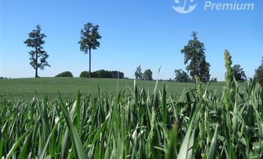 Parcela en Venta en Sector Cayurruca