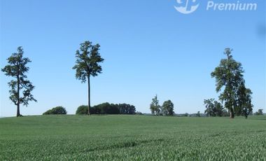 Parcela en Venta en Sector Cayurruca