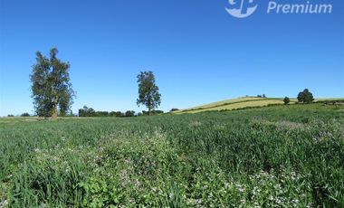 Parcela en Venta en Sector Cayurruca