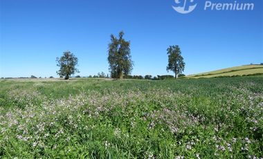 Parcela en Venta en Sector Cayurruca