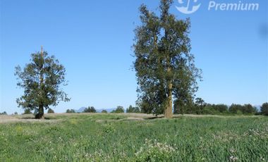 Parcela en Venta en Sector Cayurruca