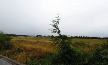 Casa en Venta en Frutillar Alto, sector Pantanosa