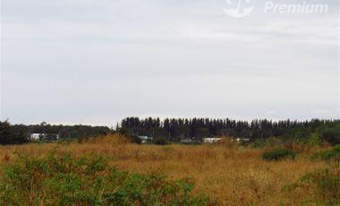 Casa en Venta en Frutillar Alto, sector Pantanosa