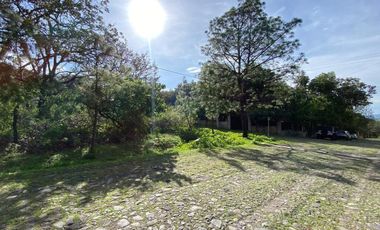 Terreno en Venta en La Primavera - Paseo de las Jacarandas Lote 11