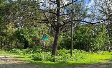 Terreno en Venta en La Primavera - Paseo de las Jacarandas Lote 11