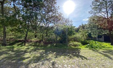 Terreno en Venta en La Primavera - Paseo de las Jacarandas Lote 11