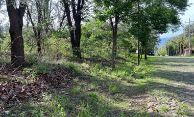 Terreno en Venta en La Primavera - Paseo de las Jacarandas Lote 11