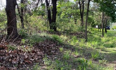 Terreno en Venta en La Primavera - Paseo de las Jacarandas Lote 11