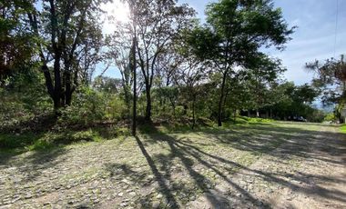 Terreno en Venta en La Primavera - Paseo de las Jacarandas Lote 11