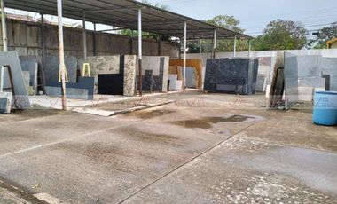 Roma Tampico Tamaulipas