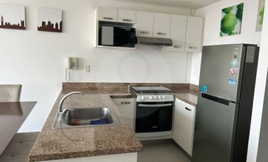Parques Polanco Departamento en renta en Anáhuac I Sección