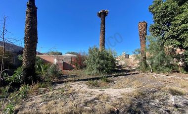 Terreno en Renta - Uso de suelo Corredor Distrital y H3 con 25m de frente-