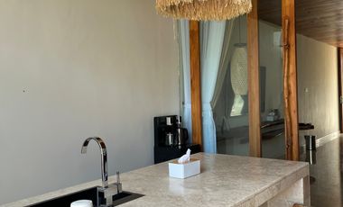 Dapatkan Passive Income 50 - 100 juta per tahun dari persewaan Villa