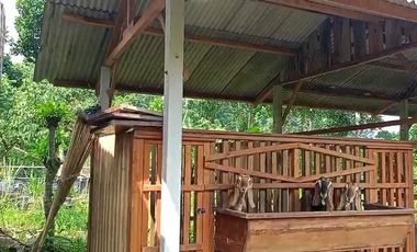 Di Jual Tanah Dan Bangunan Rumah Clasic 3362 m2 di Blitar