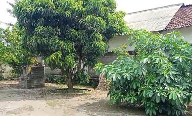 Di Jual Tanah Dan Bangunan Rumah Clasic 3362 m2 di Blitar