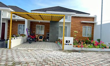 Rumah - Sip huni erumahan palm leaves, pekanbaru