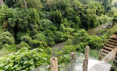 for sale luxury villa with river view ubud bali