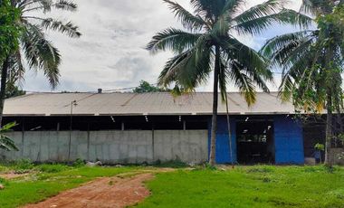 DIJUAL TANAH PLUS GUDANG MURAH DI GUNUNG SINDUR BOGOR