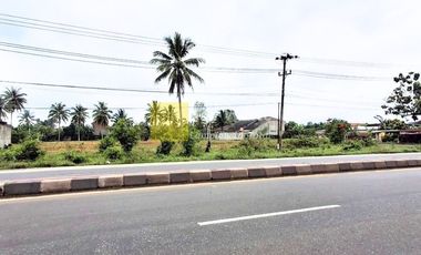 Sewa Tanah Natar Pinggir Jalan