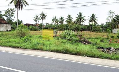 Sewa Tanah Natar Pinggir Jalan