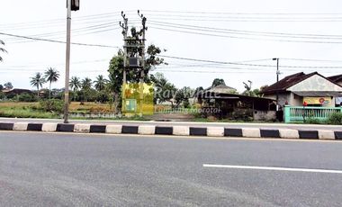 Sewa Tanah Natar Pinggir Jalan