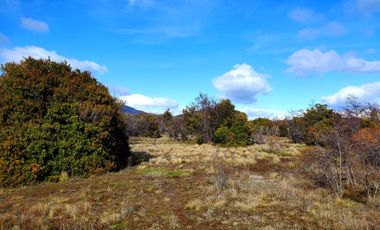 Patagonia, 53ha campo cercano a Puerto Guadal