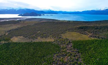 Patagonia, 53ha campo cercano a Puerto Guadal