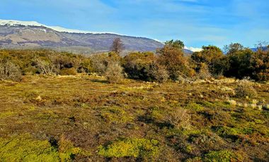 Patagonia, 53ha campo cercano a Puerto Guadal