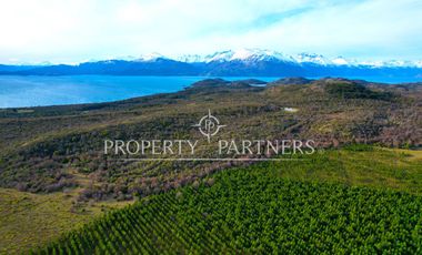 Patagonia, 53ha campo cercano a Puerto Guadal