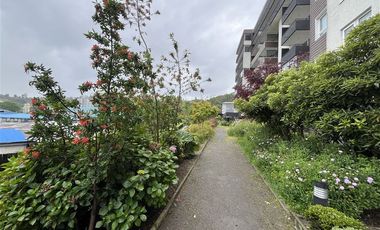 Departamento en Venta en Padre Harter