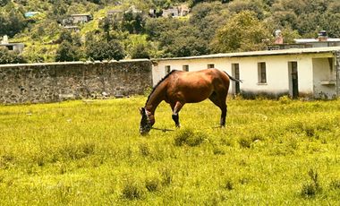 RANCHO VENTA ATLACOMULCO, ESTADO DE MÉXICO