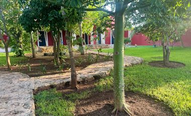 VENTA, Quinta tipo hacienda moderna en Cansahcab, YUCATÁN. Céntrica e impecable!