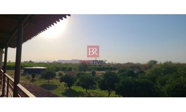 HUERTA EN VENTA EN EJIDO ESPERANZA. CD. OBREGÓN, SONORA