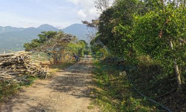 VENTA de LOTES en LOS PATIOS