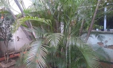 VENTA de CASAS en CUCUTA