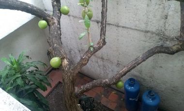 VENTA de CASAS en CUCUTA