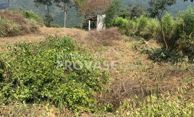 VENTA de LOTES en LOS PATIOS